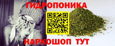 гидропоника Рязань